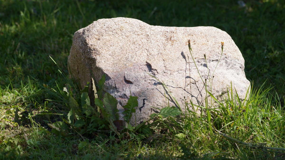 ����� ��������� ! ����� alex  �� PhotoGeek.ru #������ ��� �������