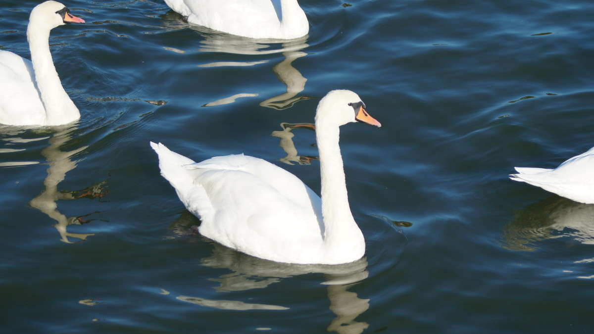 ... ����� alex  �� PhotoGeek.ru #�������� ���