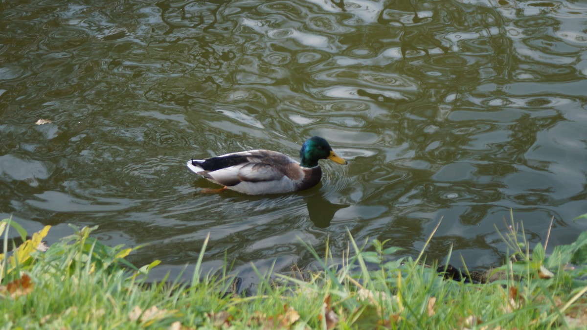 ����! ����� alex  �� PhotoGeek.ru #������ ��� ������� #����� ��������