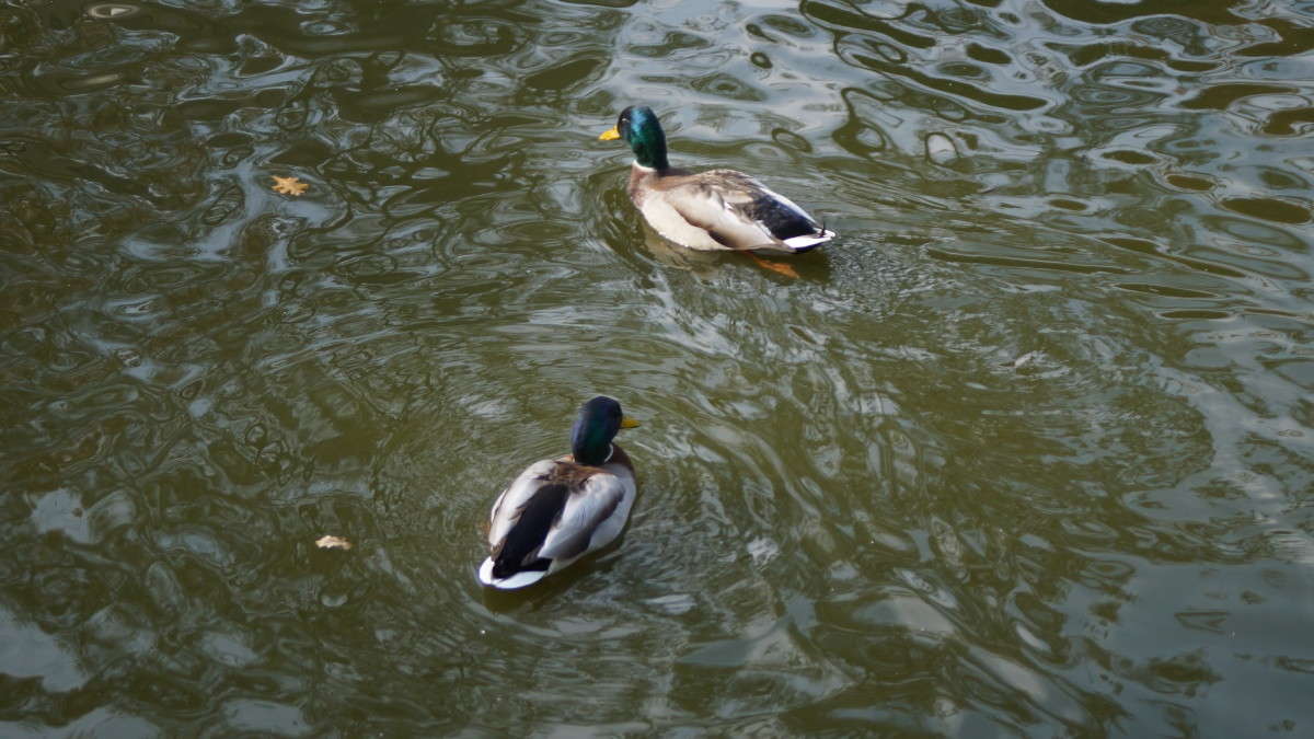 �������!!! ����� alex  �� PhotoGeek.ru #������ ��� ������� #����� ��������