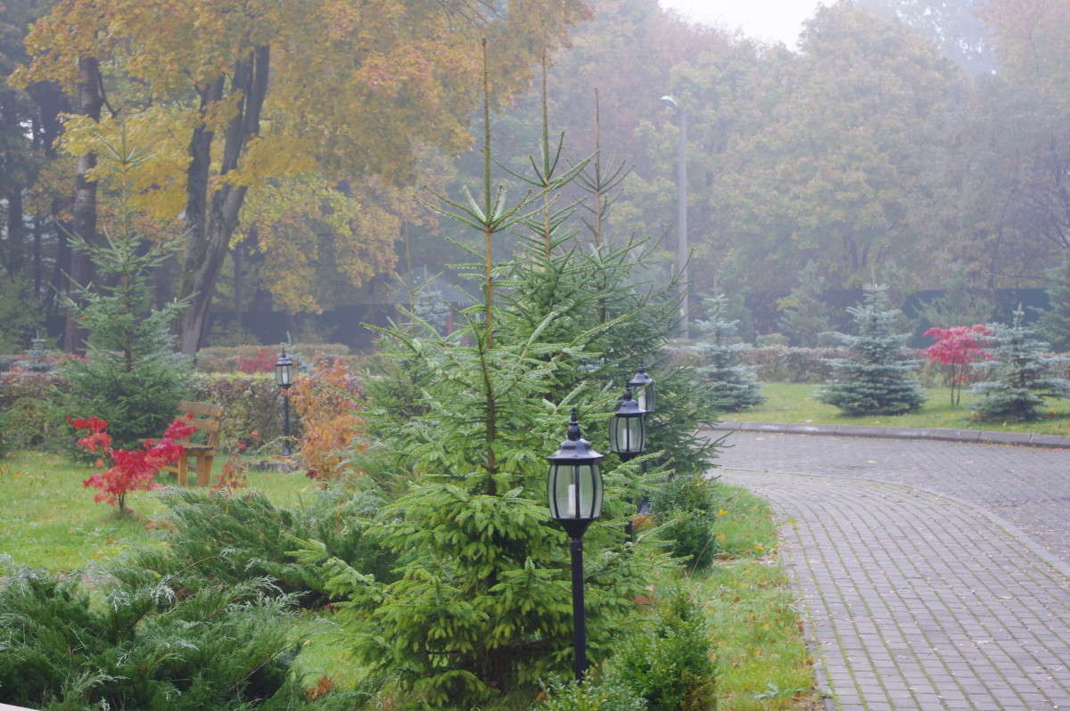 �������� ����� ����� alex  �� PhotoGeek.ru #������ ��� �������