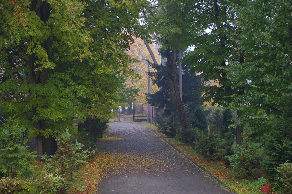 ���� ����� ����� alex  �� PhotoGeek.ru #������ ��� �������