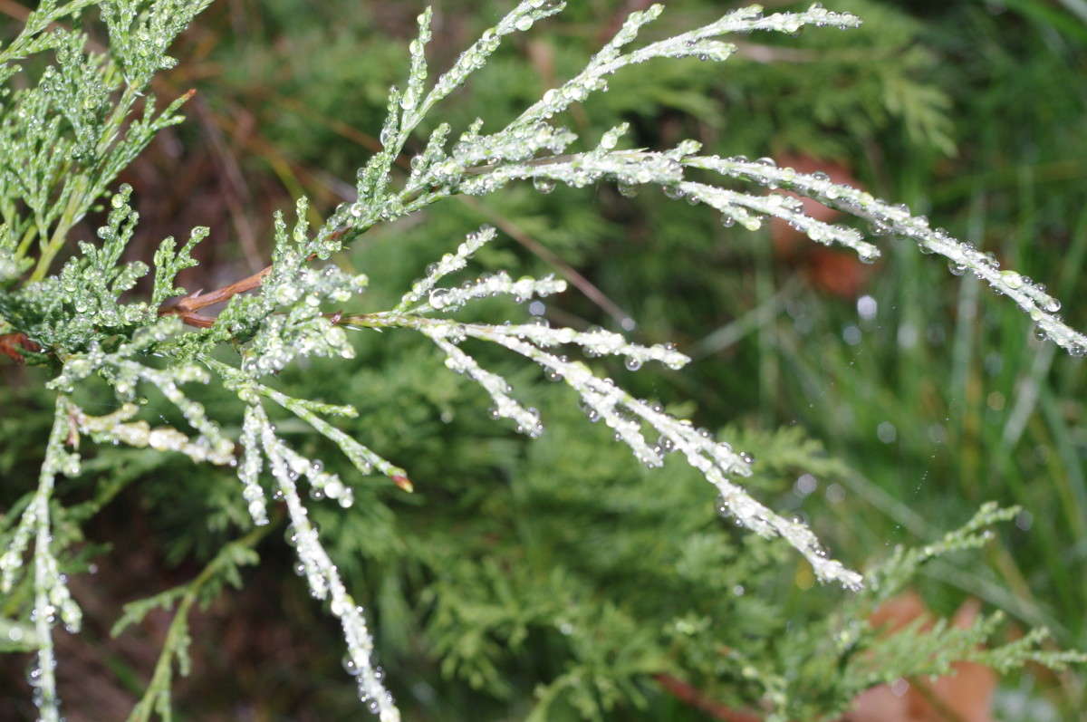 ���� ! ����� alex  �� PhotoGeek.ru #�����