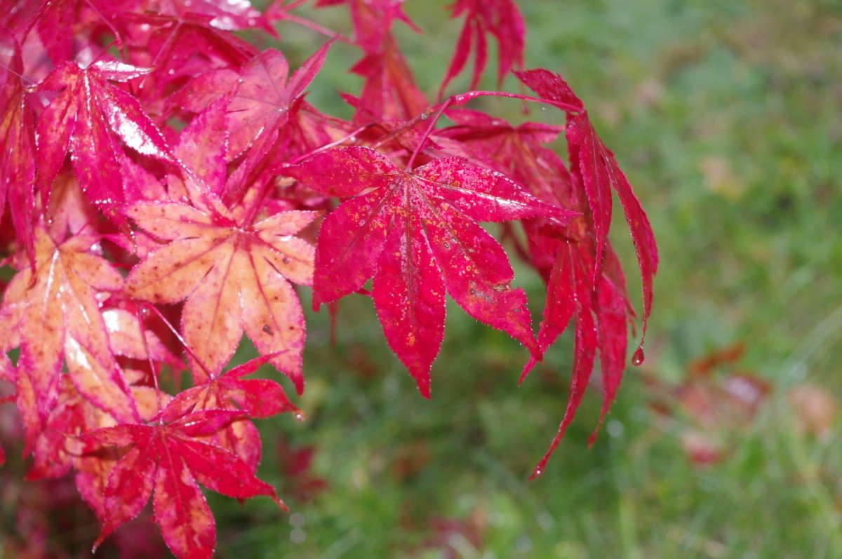 ����� ����� ����� alex  �� PhotoGeek.ru #������ ��� �������