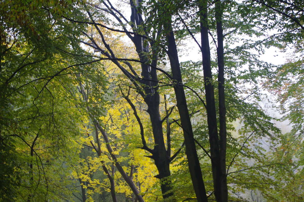 ������ ���� ����� alex  �� PhotoGeek.ru #������ ��� �������