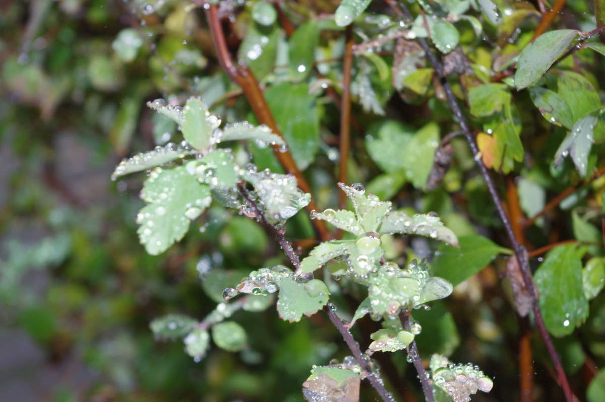 ������� ����� alex  �� PhotoGeek.ru #������ ��� �������