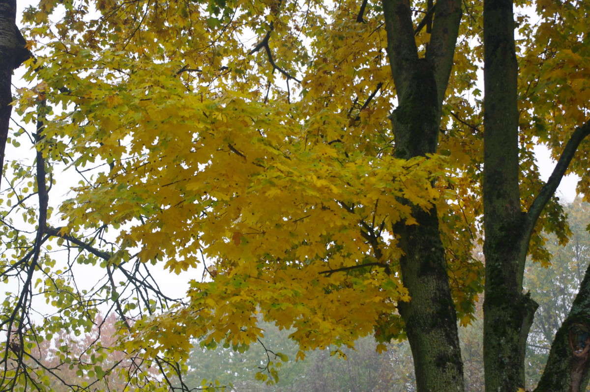 ����� ����� alex  �� PhotoGeek.ru #������ ��� �������