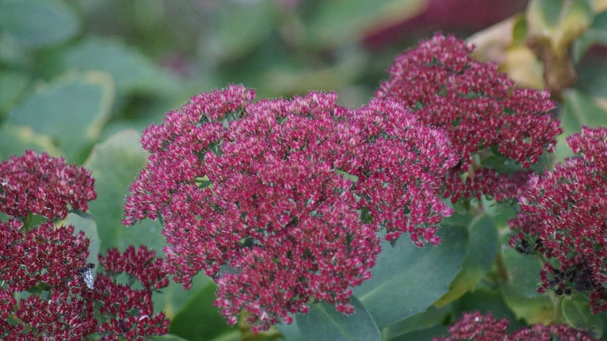 ... ����� alex  �� PhotoGeek.ru #�����