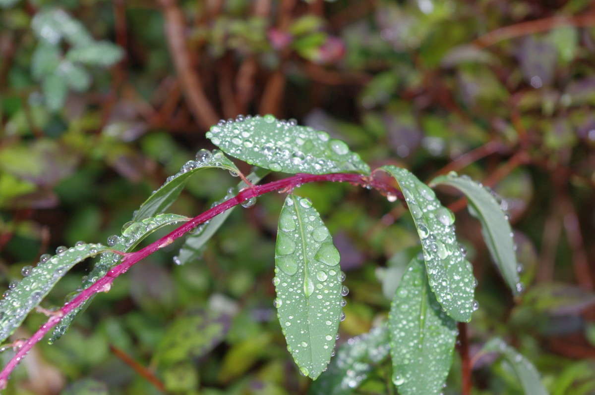 ������� ���� ����� alex  �� PhotoGeek.ru #�����