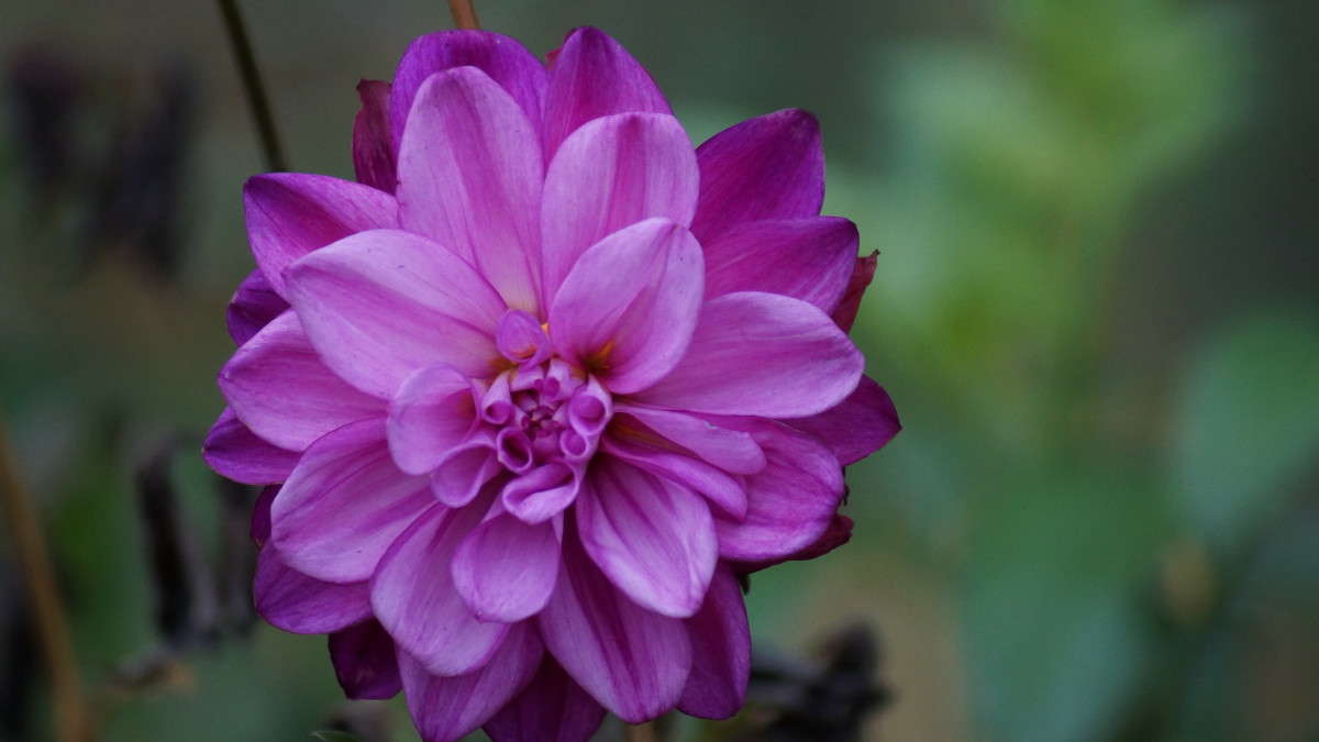 ... ����� alex  �� PhotoGeek.ru #�����