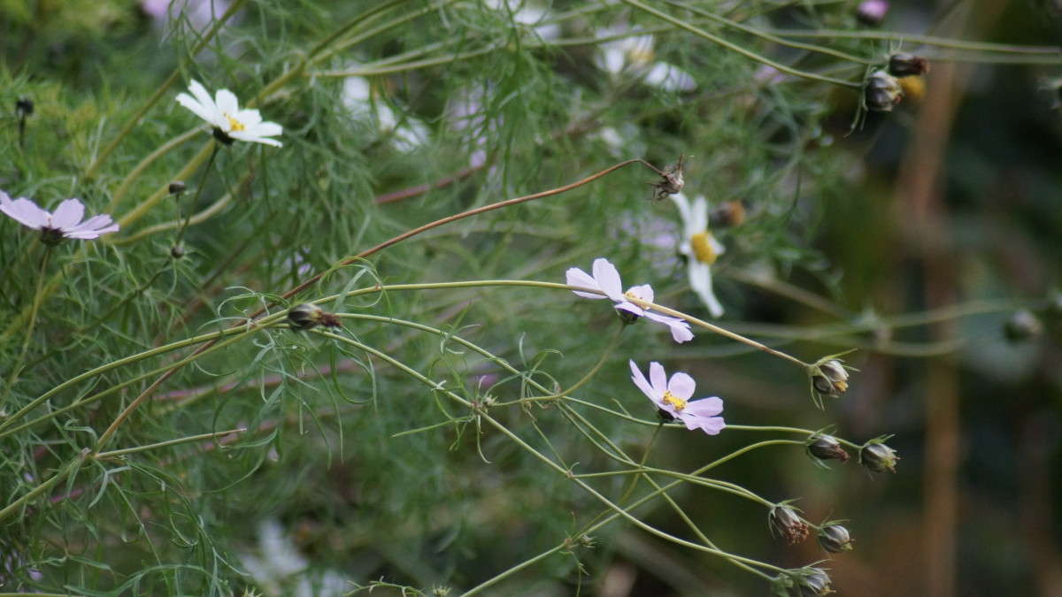 ... ����� alex  �� PhotoGeek.ru #������ ��� �������