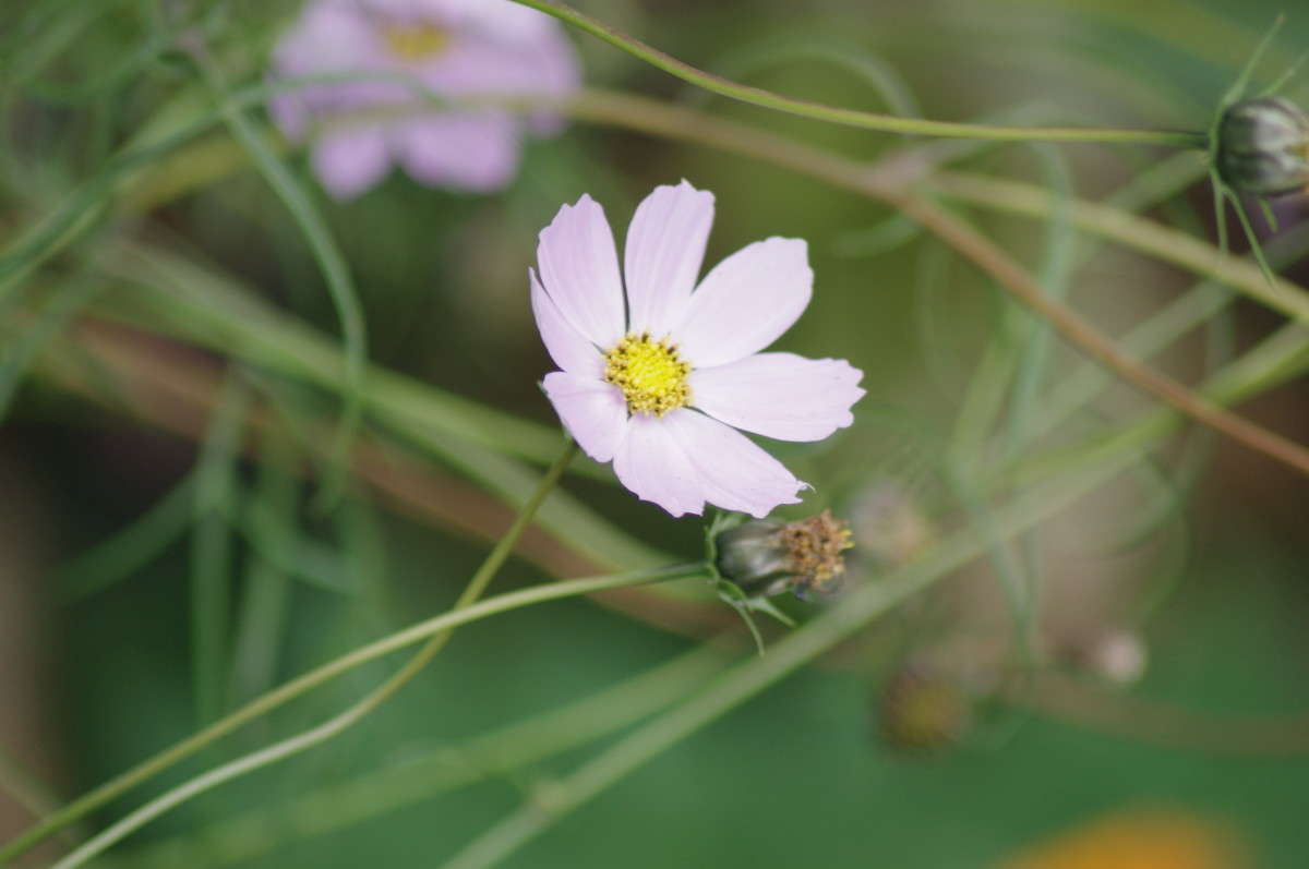 ... ����� alex  �� PhotoGeek.ru #�����