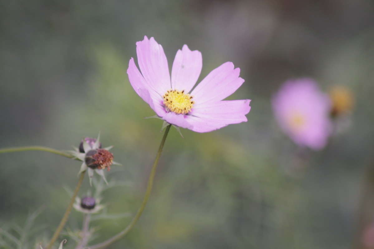 ... ����� alex  �� PhotoGeek.ru #�����