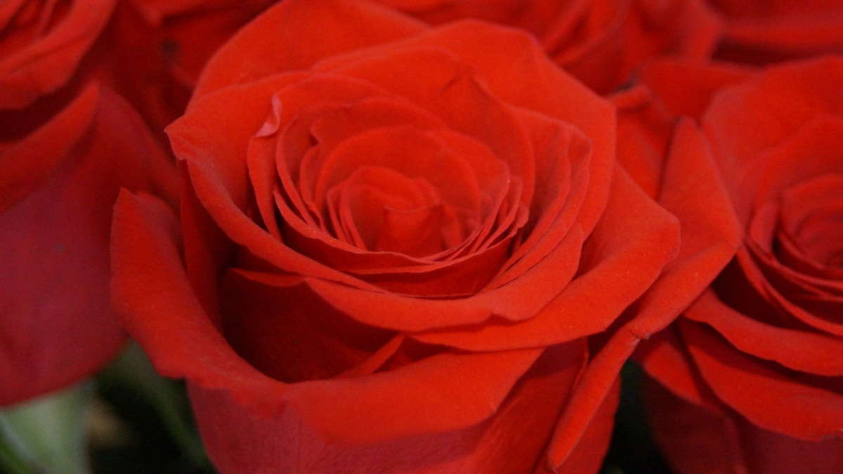 �������� ������ ! ����� alex  �� PhotoGeek.ru #�����