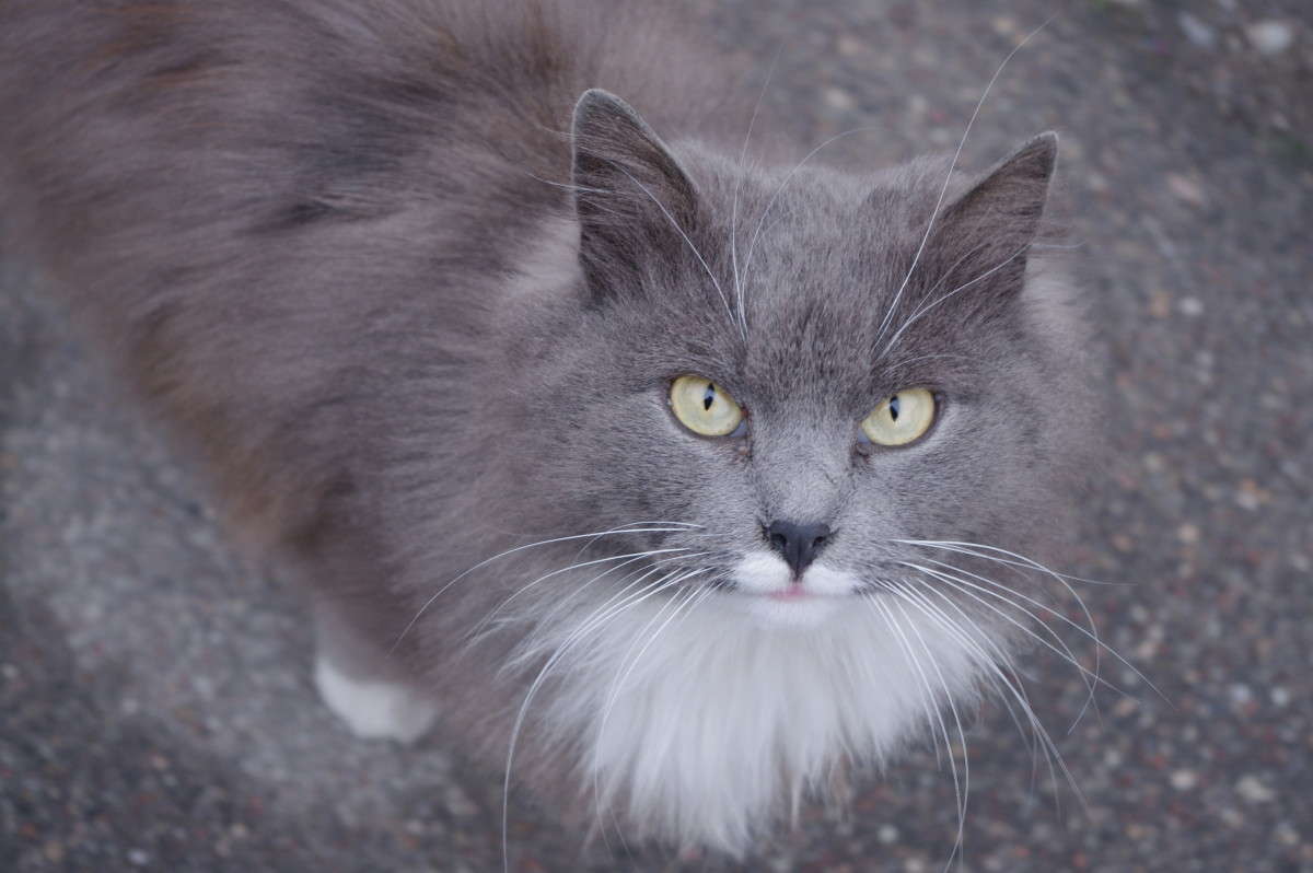 ������ ! ����� alex  �� PhotoGeek.ru #�������� ���