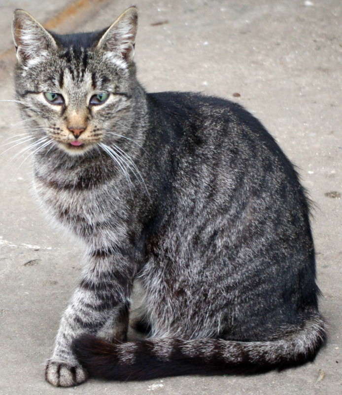 ��� ����� alex  �� PhotoGeek.ru #�������� ���