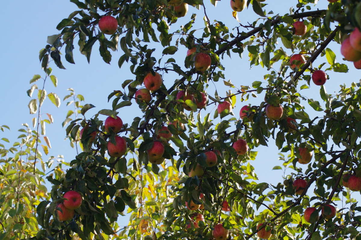 ������ ����� alex  �� PhotoGeek.ru #������ ��� �������