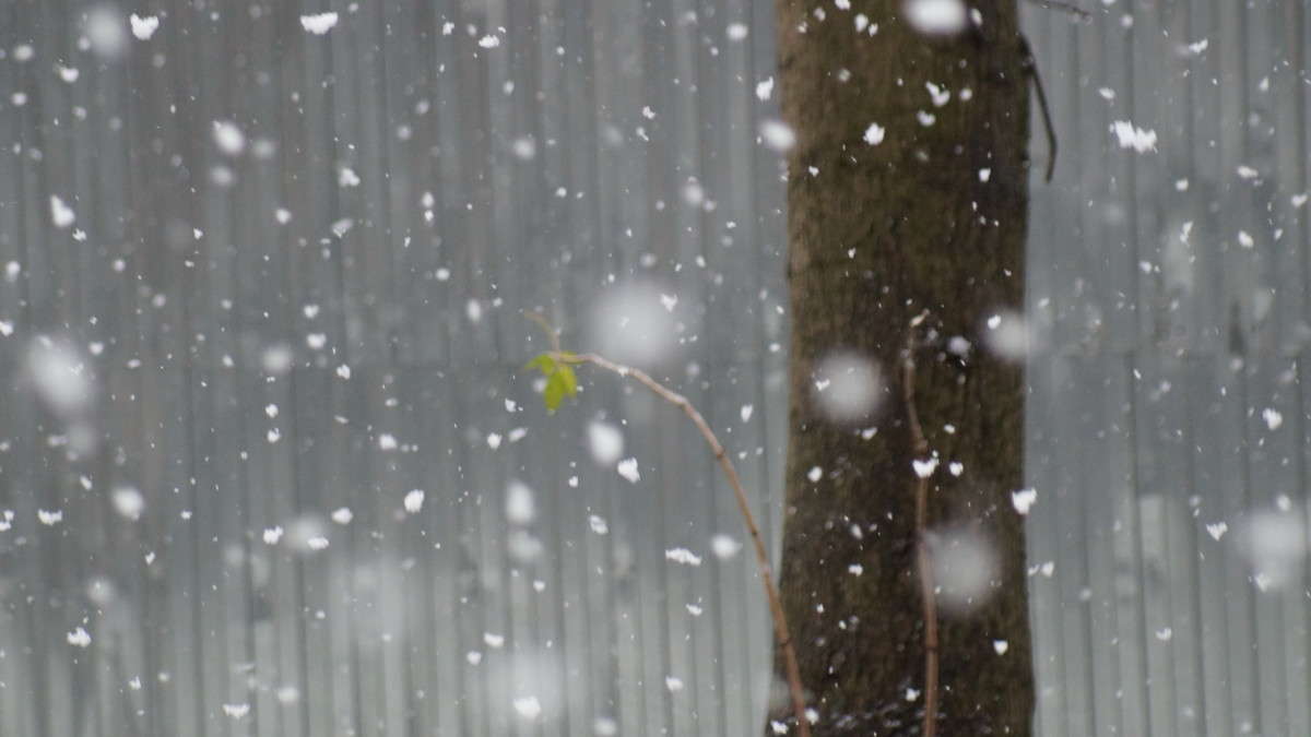 ������ ����....... ����� alex  �� PhotoGeek.ru #������ ��� �������