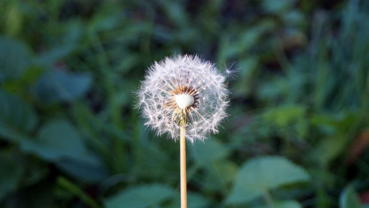 ... ����� alex  �� PhotoGeek.ru #������ ��� �������