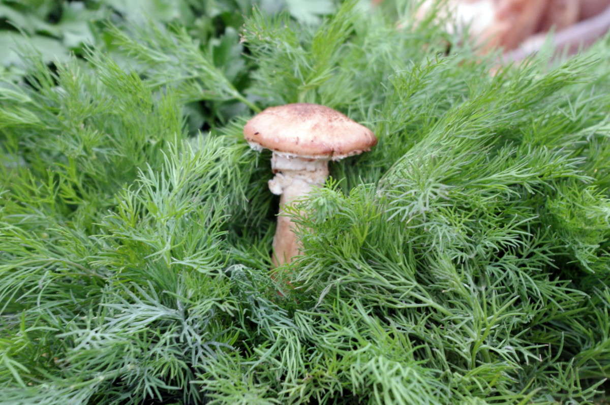 �������� ! ����� alex  �� PhotoGeek.ru #������ ��� �������