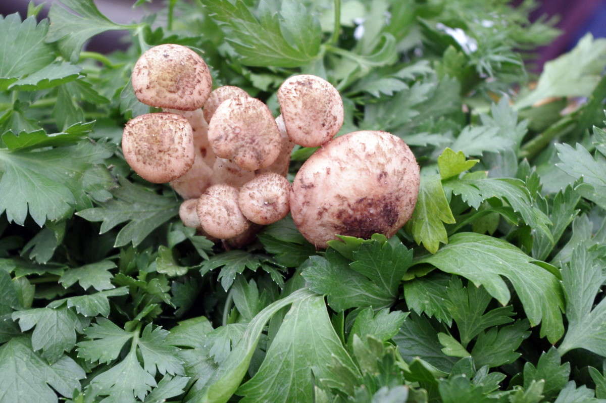 �����! ����� ����! ����� alex  �� PhotoGeek.ru #������ ��� �������