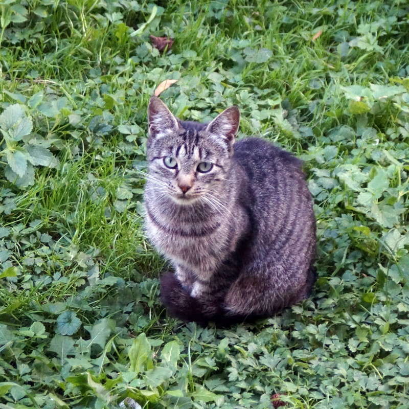 ���������!!! ����� alex  �� PhotoGeek.ru #�������� ���