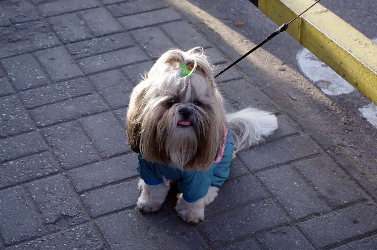 ������� ����� alex  �� PhotoGeek.ru #�������� ���