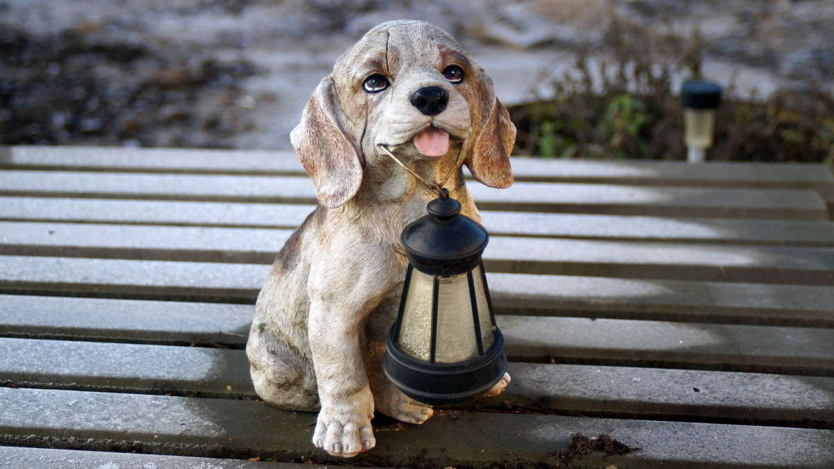 ��������� ?! ����� alex  �� PhotoGeek.ru #�������� ����������