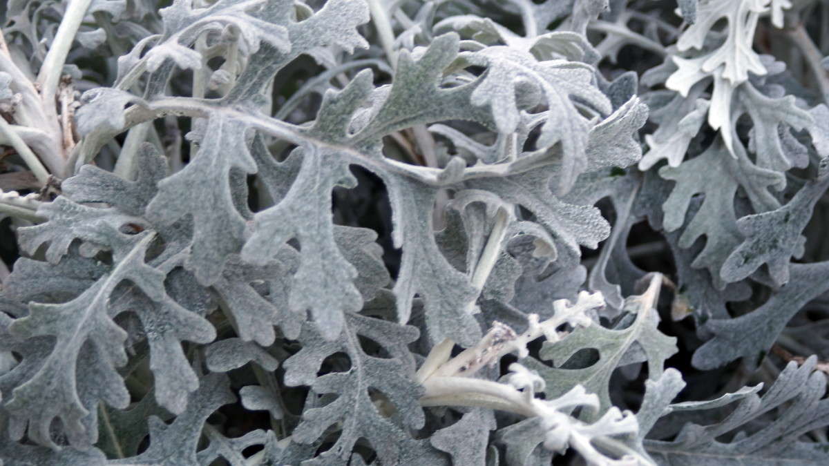 �������� ! ����� alex  �� PhotoGeek.ru #�����