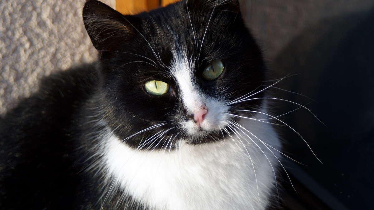 �� ������!!!))) ����� alex  �� PhotoGeek.ru #�������� ���