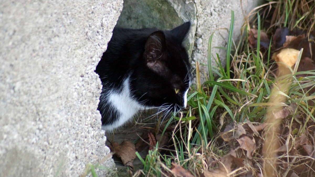 �� ����� ������ !))) ����� alex  �� PhotoGeek.ru #�������� ���