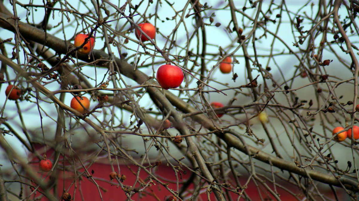 ������ ����� . ����� alex  �� PhotoGeek.ru #������ ��� �������