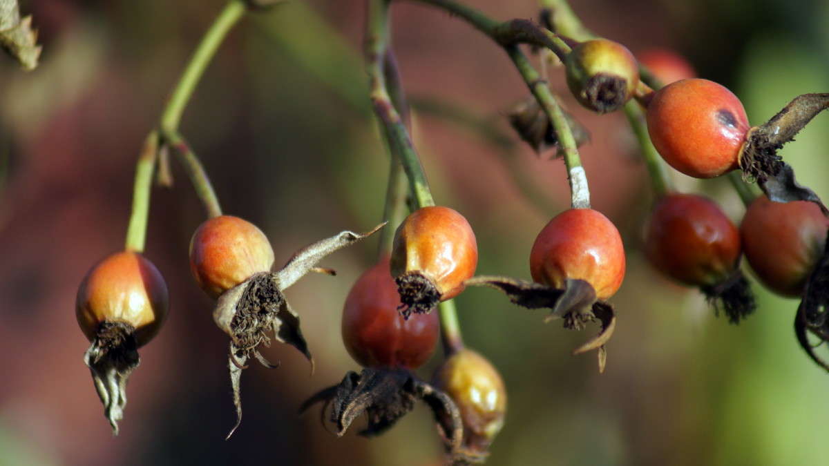 ��������.... ����� alex  �� PhotoGeek.ru #�����