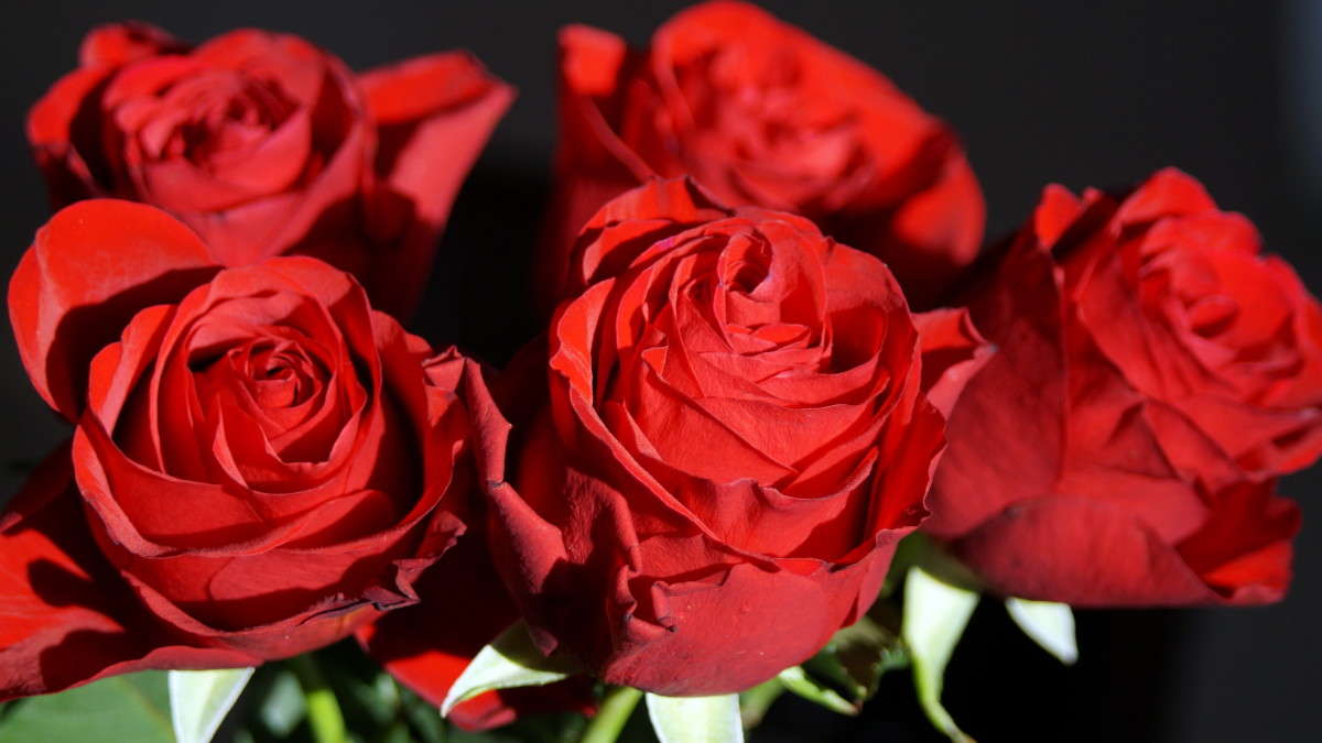 ������� ����� alex  �� PhotoGeek.ru #������ ��� �������