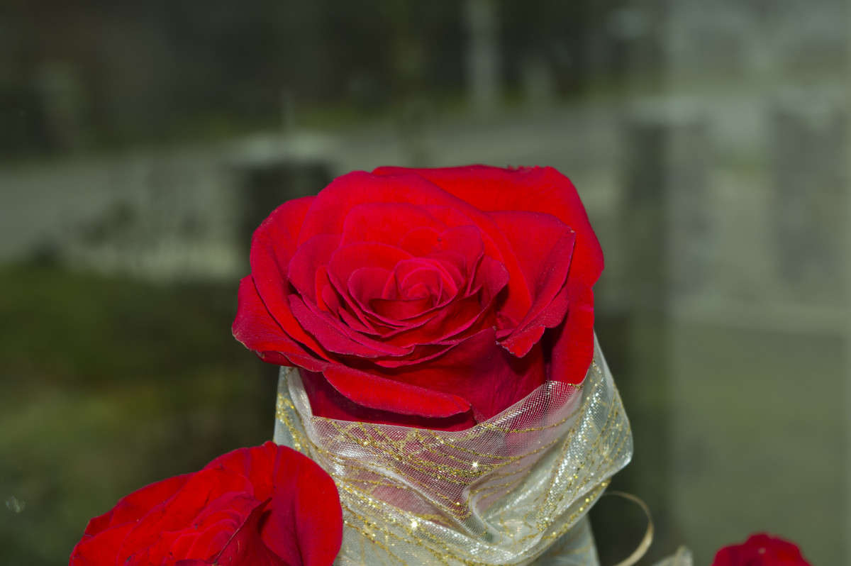 ... ����� alex  �� PhotoGeek.ru #�����