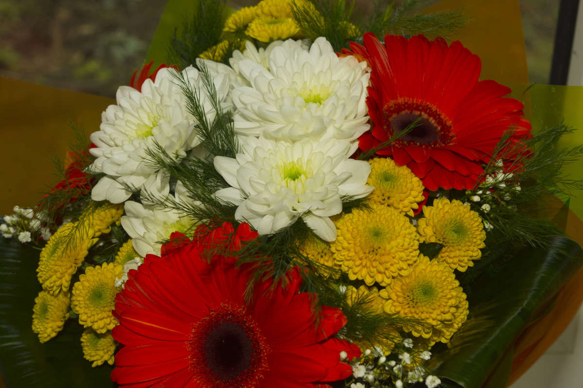 �����! ����� alex  �� PhotoGeek.ru #������ ��� �������