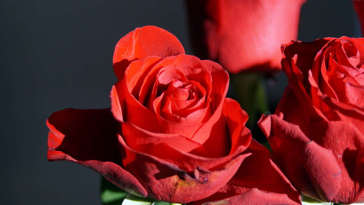 ���� ����� alex  �� PhotoGeek.ru #�����