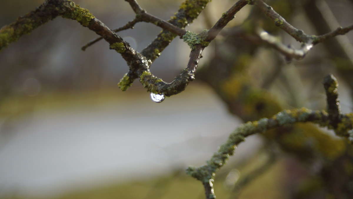 ����� � ������ ����� alex  �� PhotoGeek.ru #�����