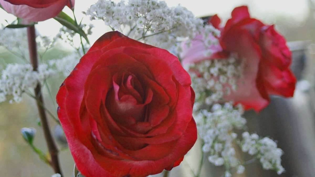 ... ����� alex  �� PhotoGeek.ru #�����