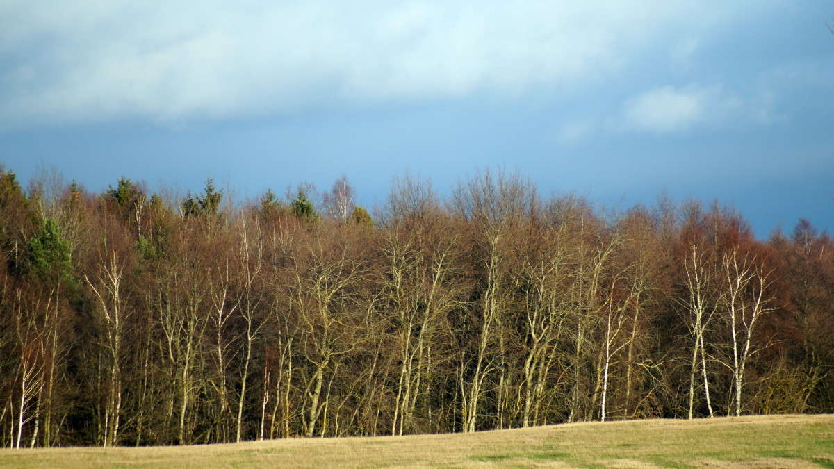 ������ ����! ����� alex  �� PhotoGeek.ru #������ ��� �������