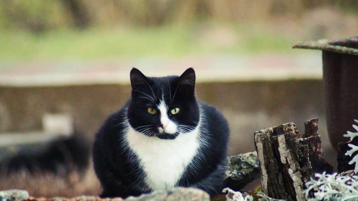 ���������� ! ����� alex  �� PhotoGeek.ru #�������� ���