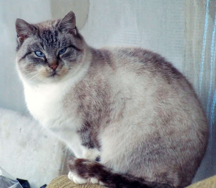 ��� !!! ����� alex  �� PhotoGeek.ru #�������� ���