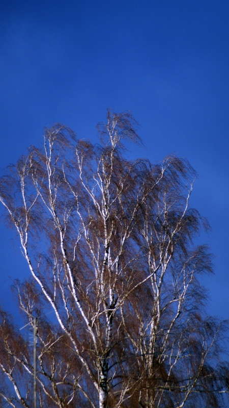 ����� ����� alex  �� PhotoGeek.ru #������ ��� �������