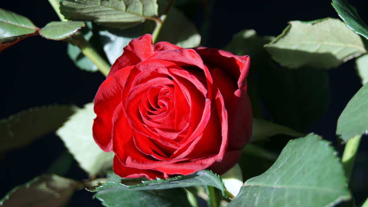 ... ����� alex  �� PhotoGeek.ru #�����