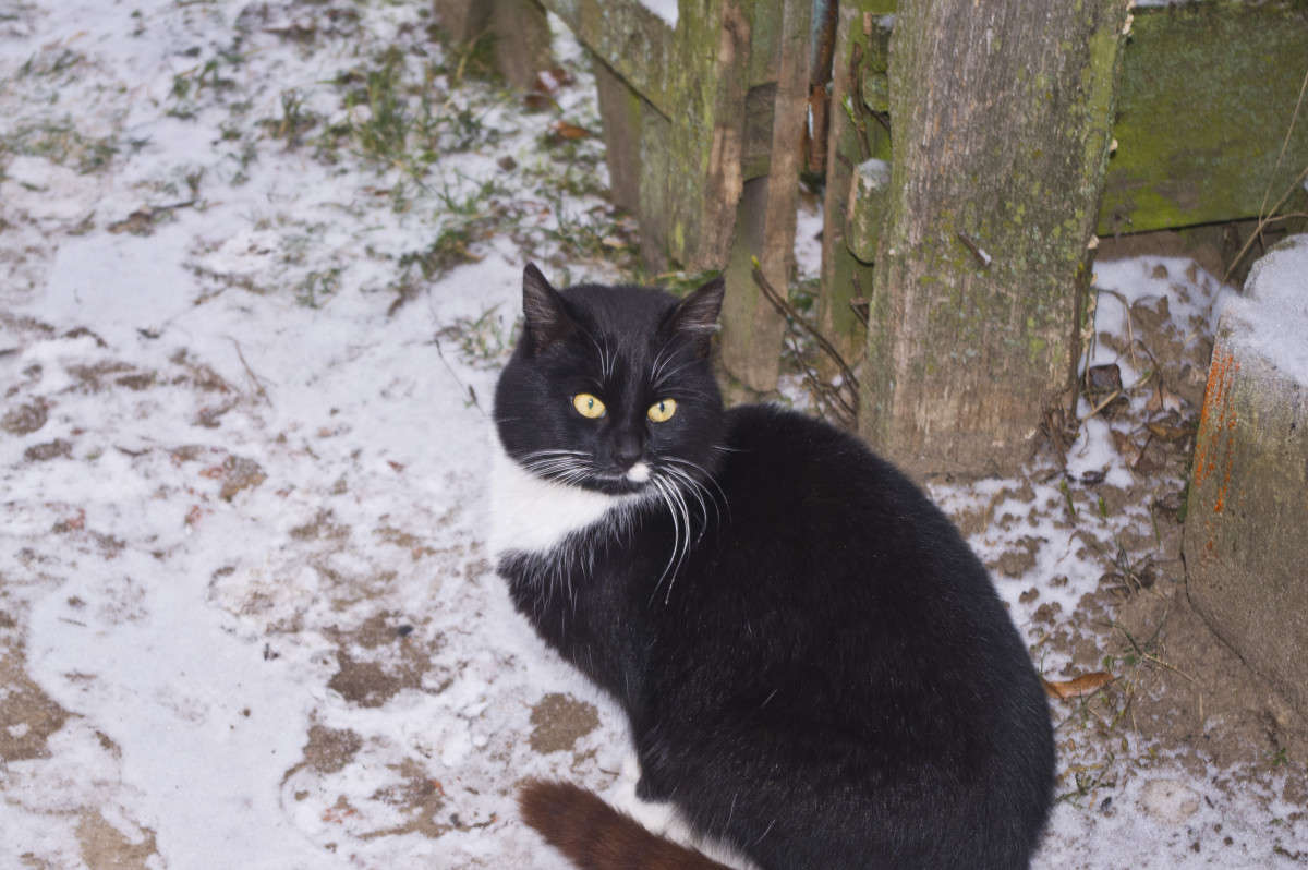 ���������! ����� alex  �� PhotoGeek.ru #�������� ���