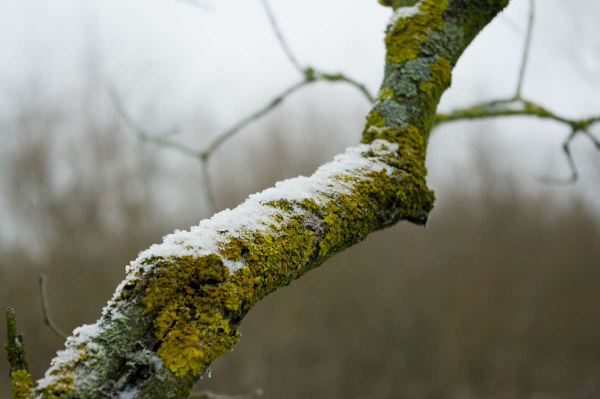 ��� � ���� �� �����. ����� alex  �� PhotoGeek.ru #������ ��� �������