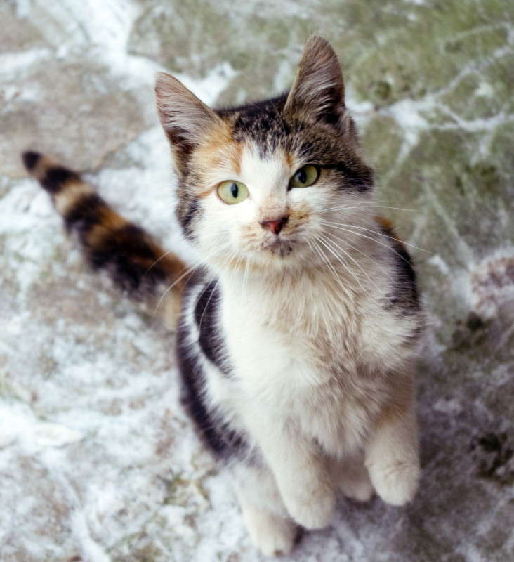 ������!!!!! ����� alex  �� PhotoGeek.ru #�������� ���