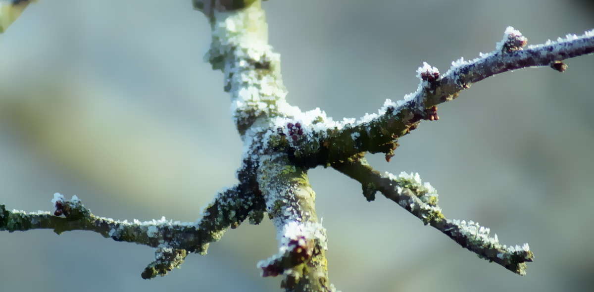 ����� � ���� ����� alex  �� PhotoGeek.ru #������ ��� �������