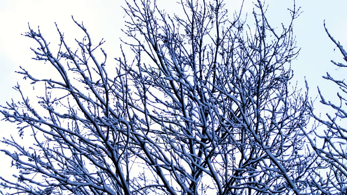 ���� ����� alex  �� PhotoGeek.ru #������ ��� �������