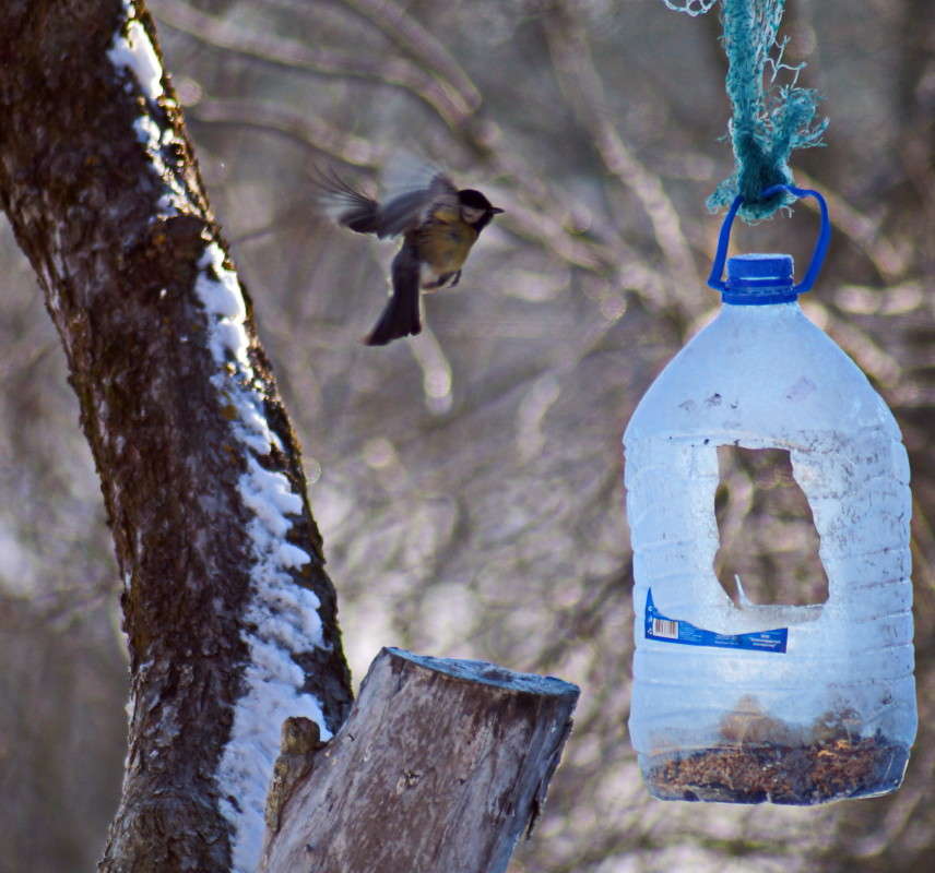 �� �������!!! ����� alex  �� PhotoGeek.ru #�������� ���